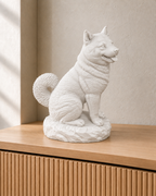 Shiba Inu – 01 weiss