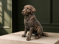 Labrador Retriever – detailreiche sitzende Hundefigur | Geschenk für Hundefans | Made in Germany Fehn-factory.de