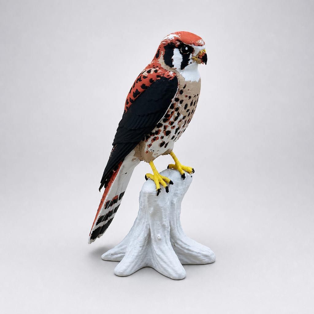 American Kestrel – Turmfalke auf Natur-Sockel FehnFactory