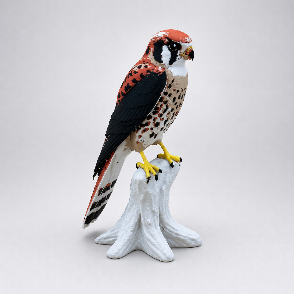 American Kestrel – Turmfalke auf Natur-Sockel FehnFactory