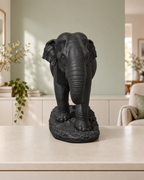Asiatischer Elefant – 02 schwarz