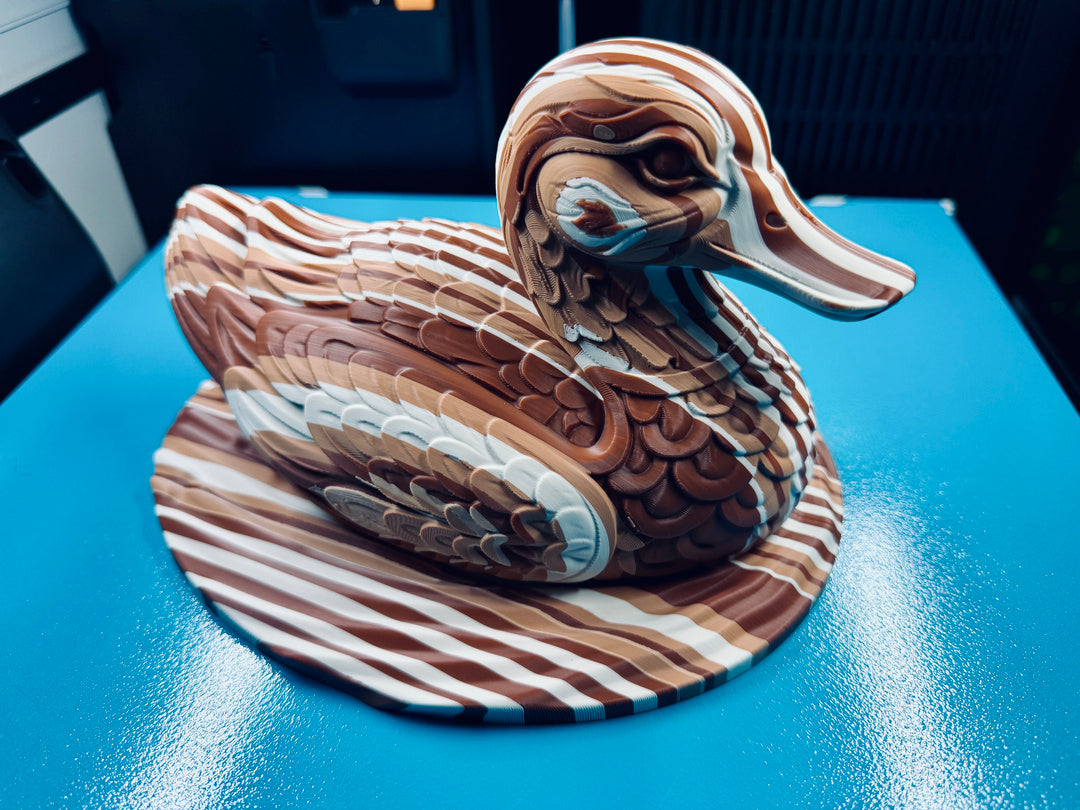 Schwimmende Ente FehnFactory