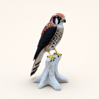 American Kestrel – Turmfalke auf Natur-Sockel FehnFactory