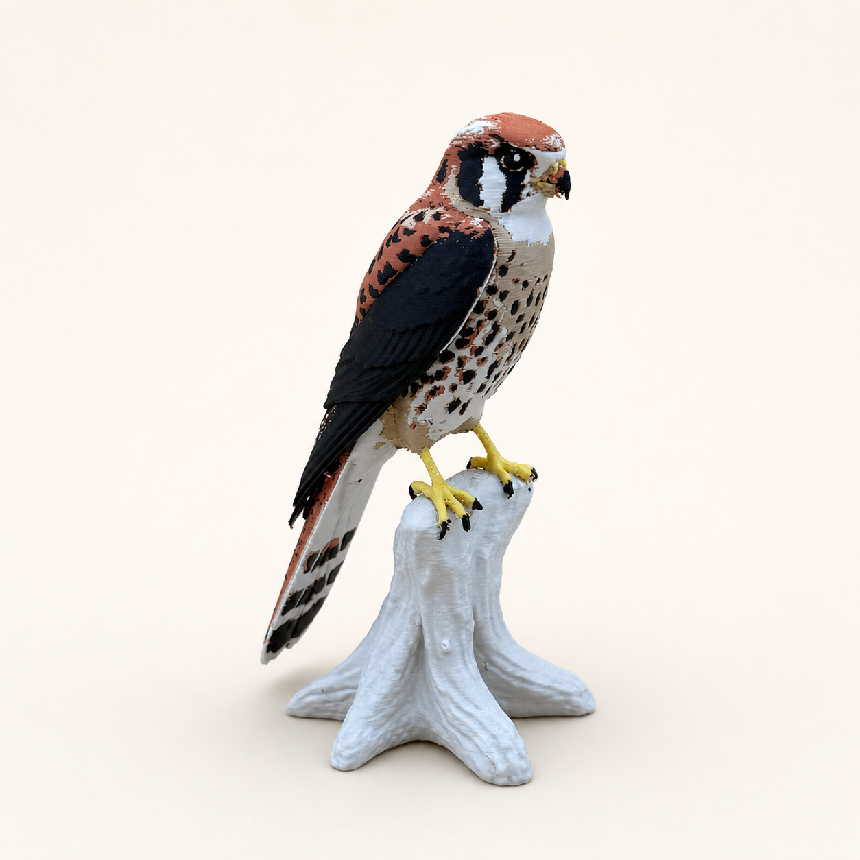 American Kestrel – Turmfalke auf Natur-Sockel FehnFactory