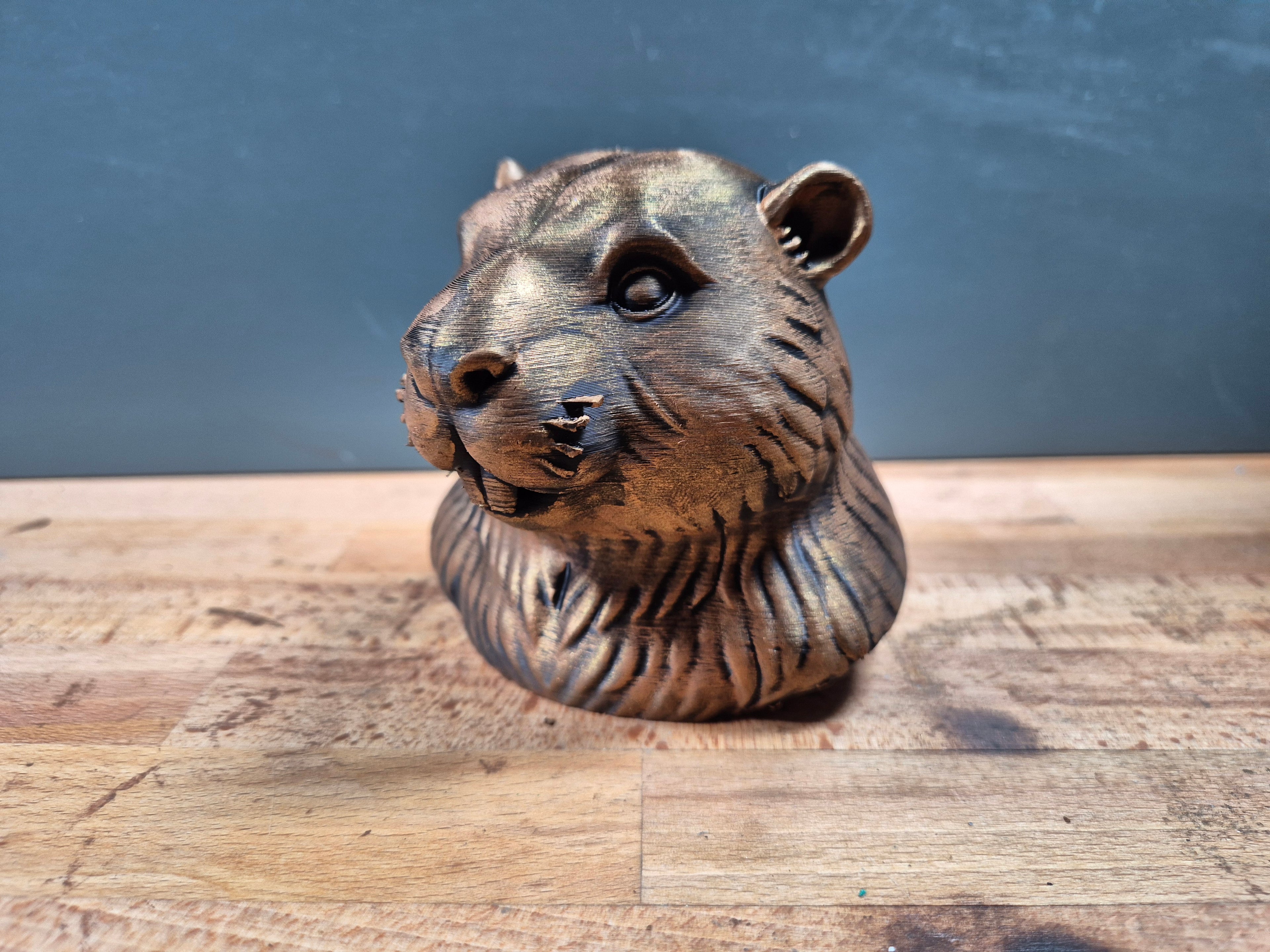 Biberbüste – Beaver Bust | Made in Germany Fehn-factory.de