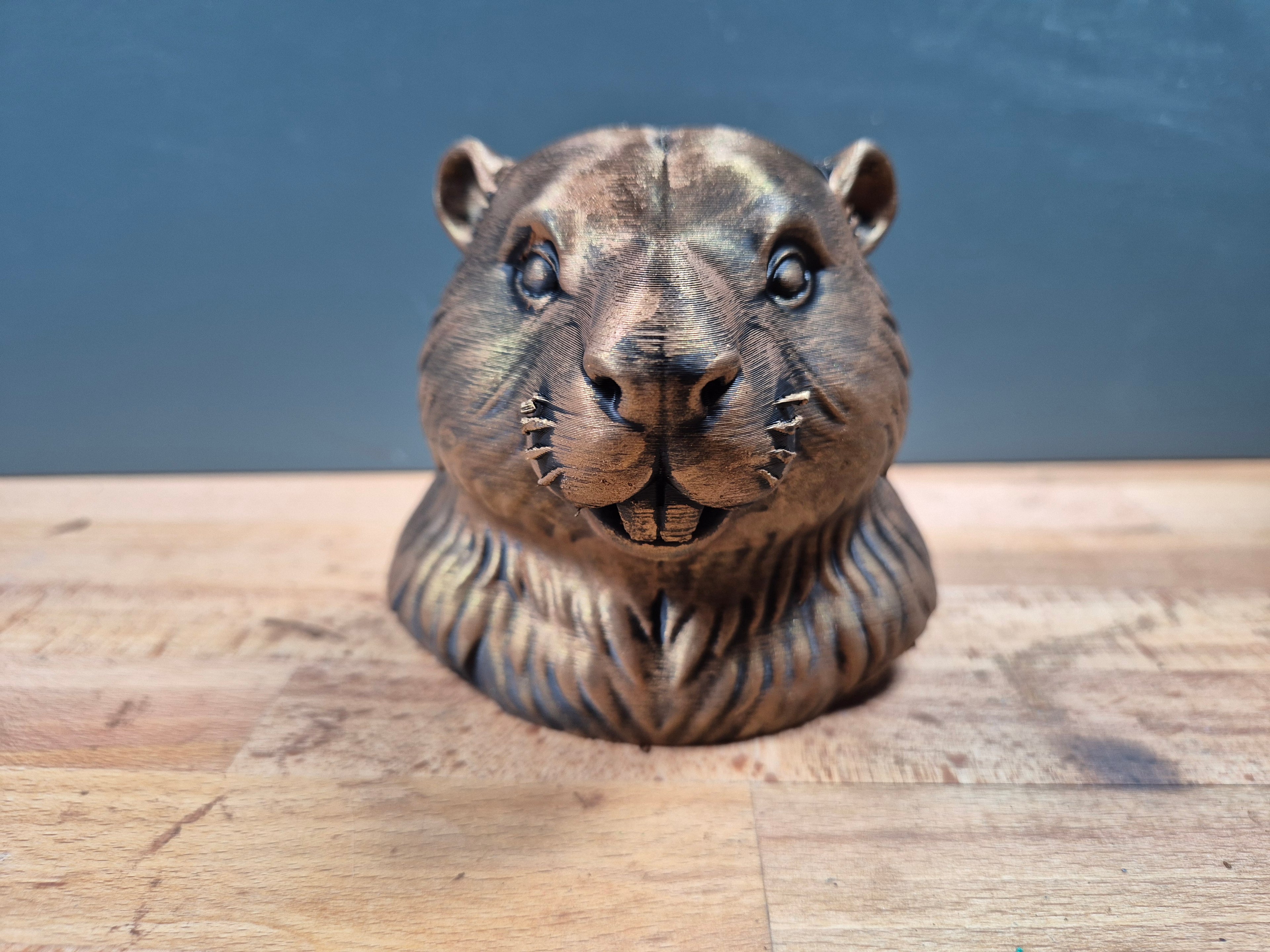 Biberbüste – Beaver Bust | Made in Germany Fehn-factory.de