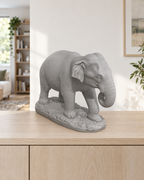 Asiatischer Elefant – 05 grau