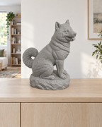 Shiba Inu – 05 grau