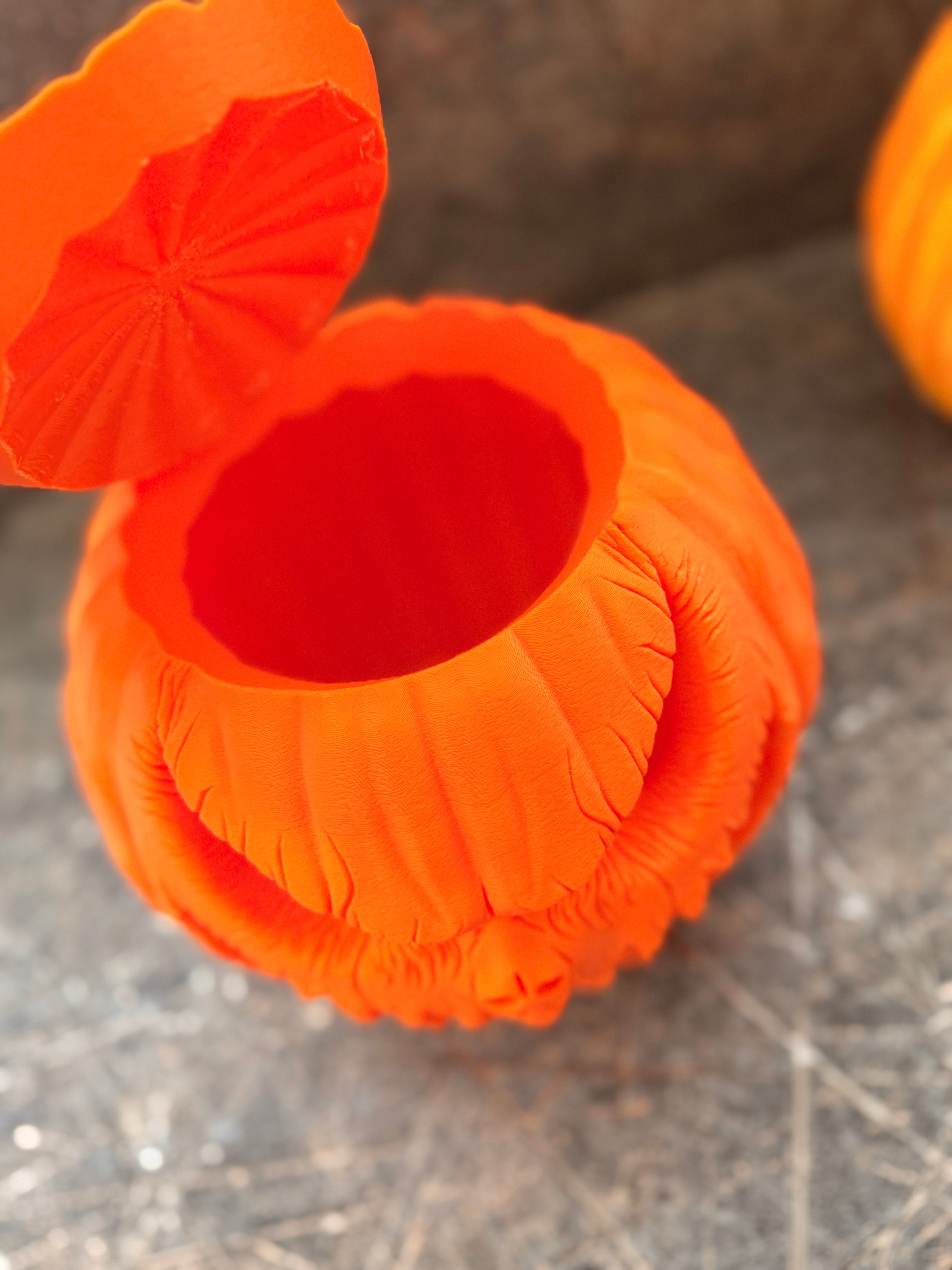 Grusel-Kürbis Orange – Deckel offen Detail
