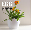 Eiervase EGG PLANTER – Stehend oder Liegend |  Pflanzgefäß für Zimmerpflanzen. Wohndeko Fehn-factory.de