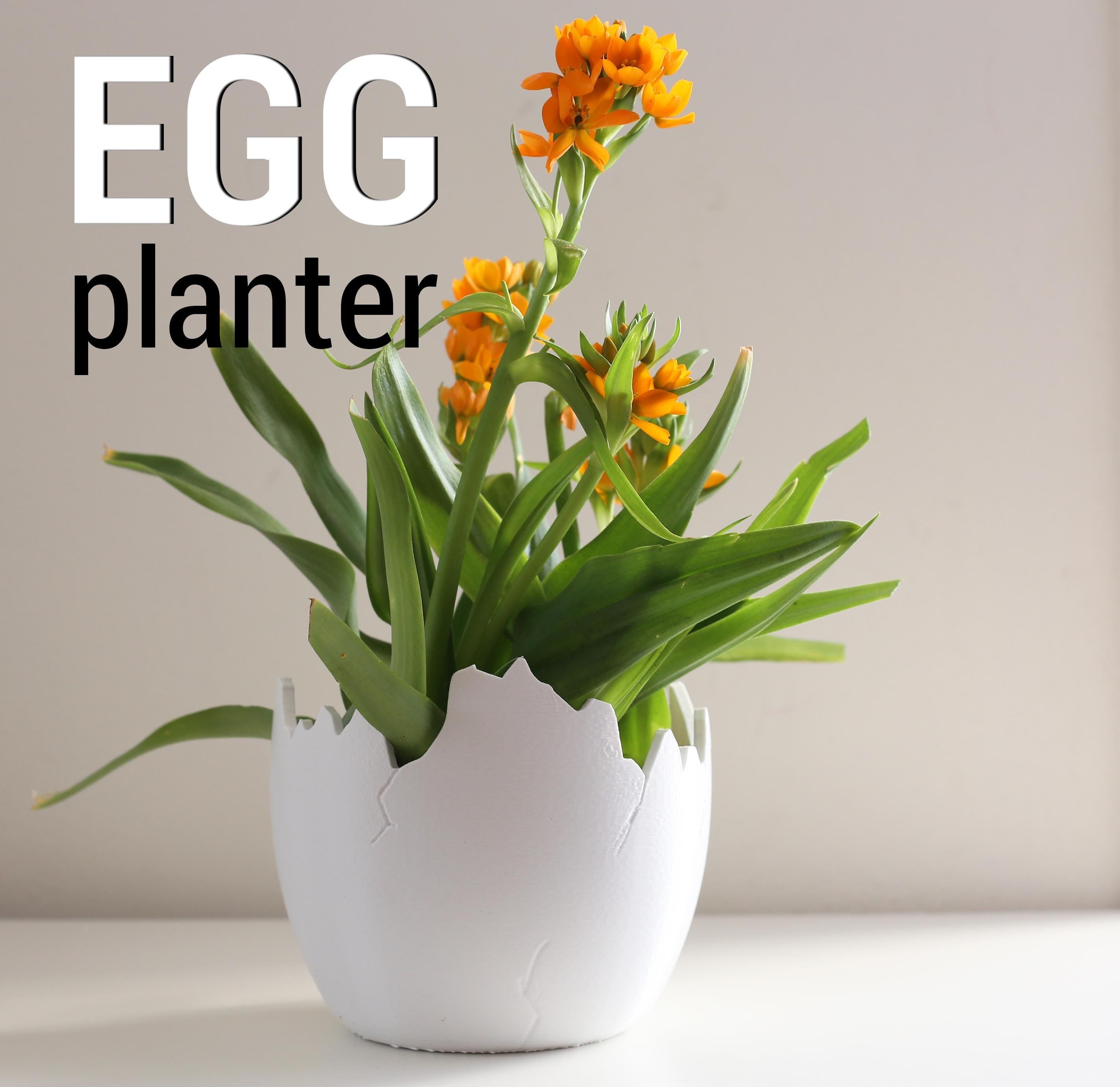 Eiervase EGG PLANTER – Stehend oder Liegend |  Pflanzgefäß für Zimmerpflanzen. Wohndeko Fehn-factory.de