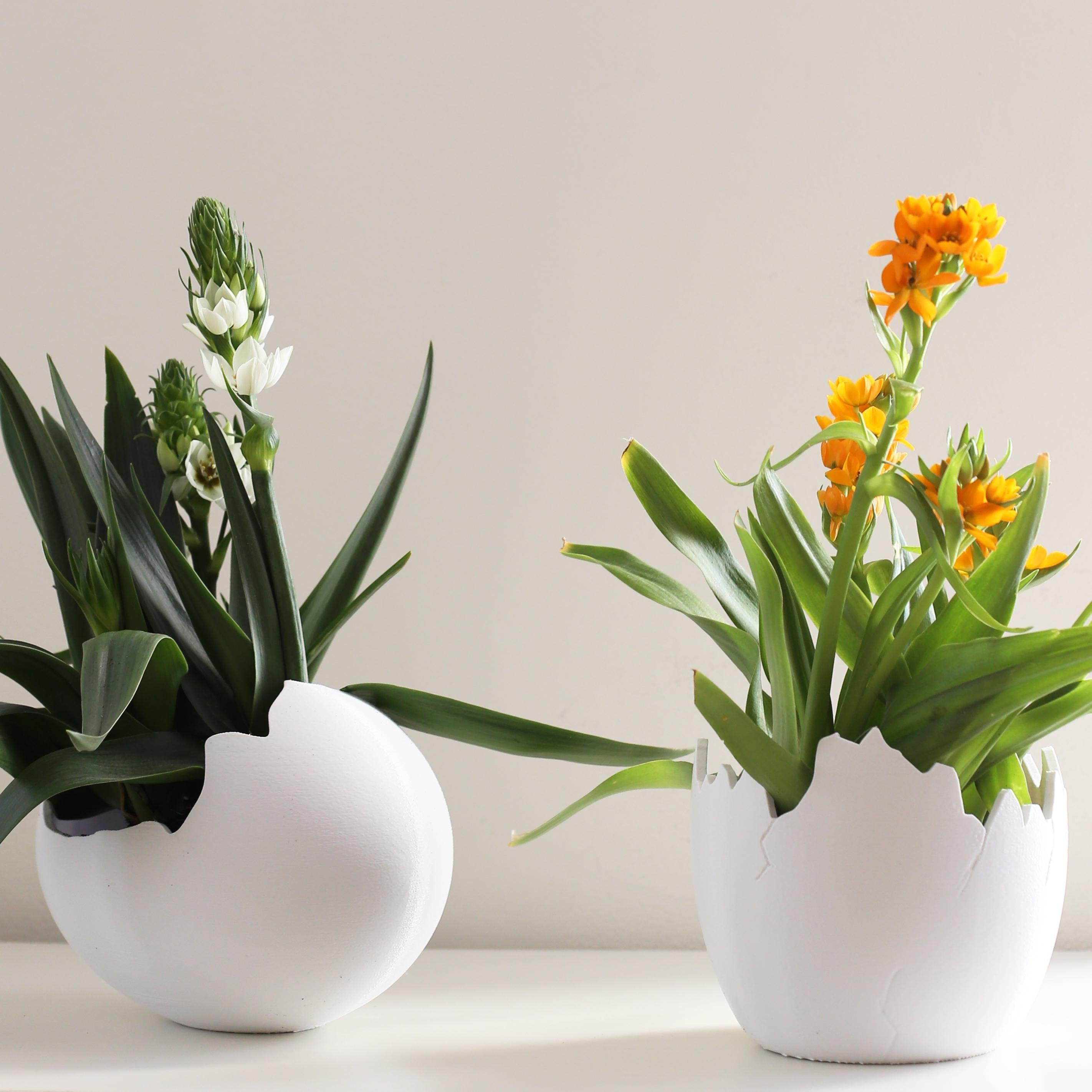Eiervase EGG PLANTER – Stehend oder Liegend |  Pflanzgefäß für Zimmerpflanzen. Wohndeko Fehn-factory.de