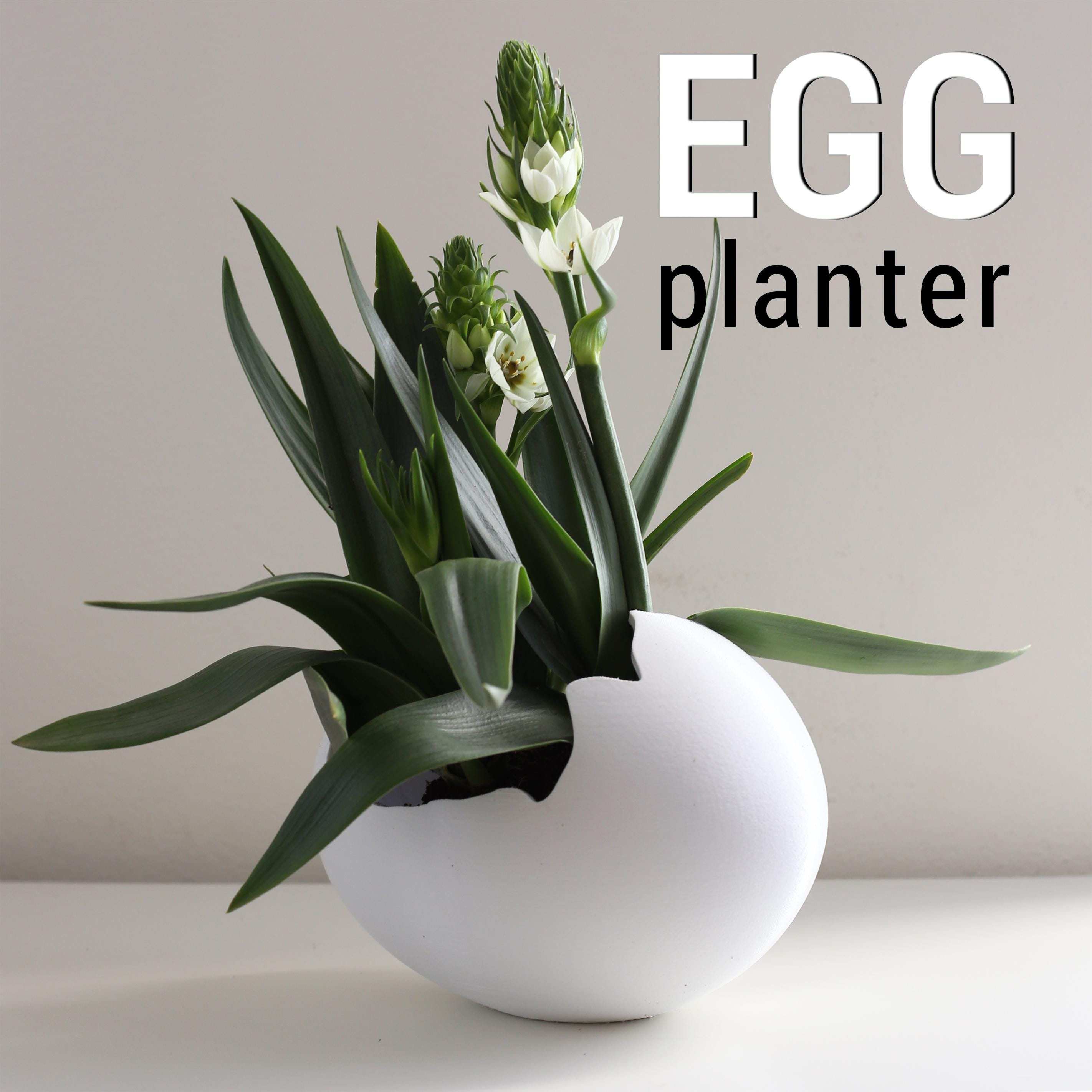 Eiervase EGG PLANTER – Stehend oder Liegend |  Pflanzgefäß für Zimmerpflanzen. Wohndeko Fehn-factory.de