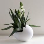 Eiervase EGG PLANTER – Stehend oder Liegend |  Pflanzgefäß für Zimmerpflanzen. Wohndeko Fehn-factory.de