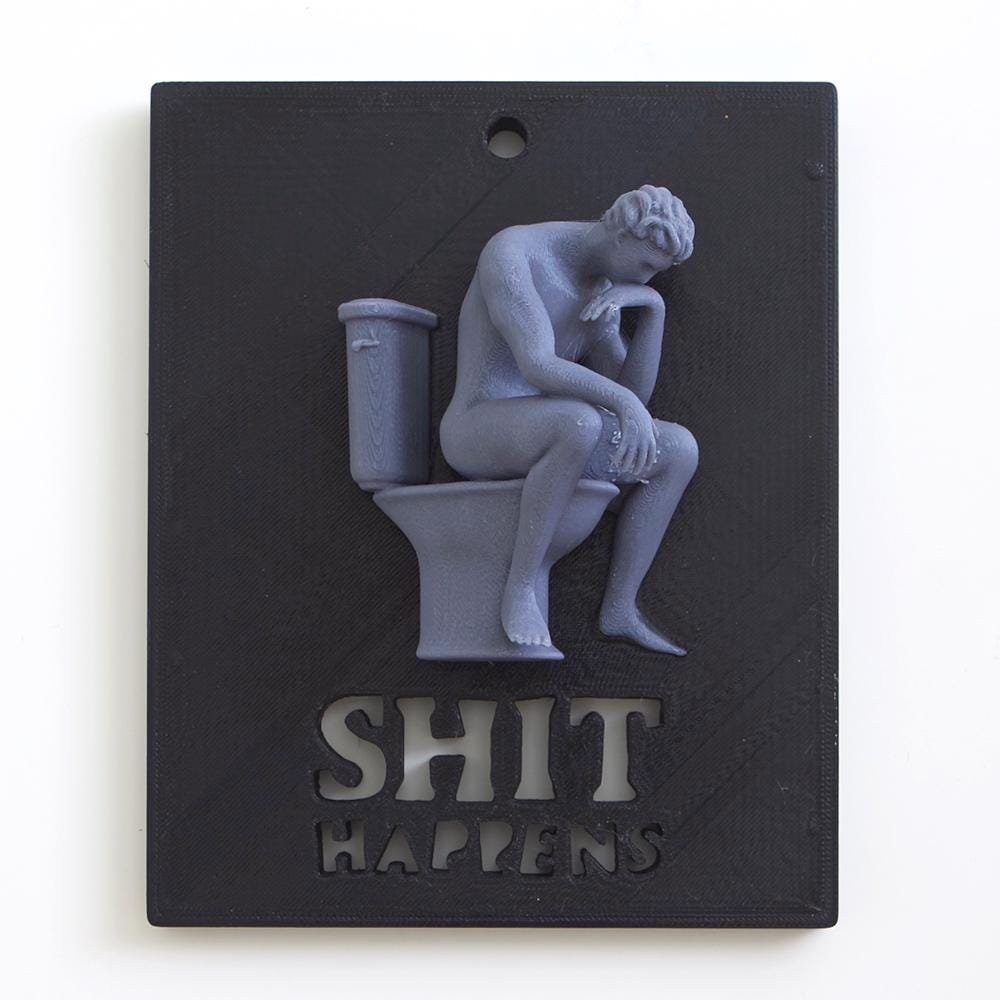 Humorvolle 3D-gedruckte WC-Wanddeko oder Türdeko  „Sh*t Happens“ – Lustiges Toilettenschild für Gäste-WC & Badezimmer – 180×150 mm Fehn-factory.de