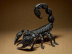 Designer Scorpion Sculpture | Schwarze Skorpionfigur im modernen 3D-Design | Dekorative Skulptur mit Ornamentstruktur Fehn-factory.de