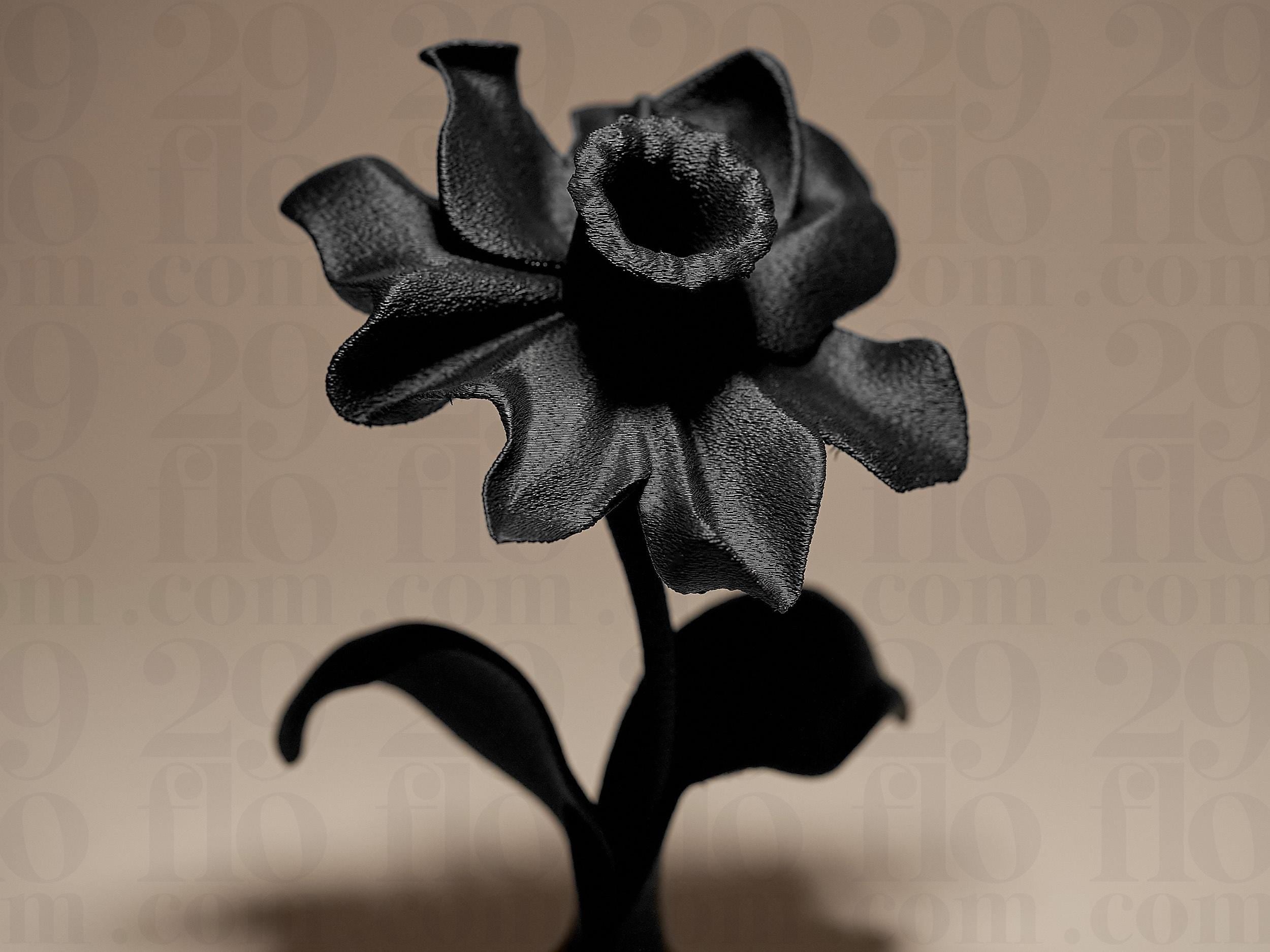 Daffodil Decor | Moderne Narzisse Skulptur | Black Edition Designblume für stilvolle Wohnräume Fehn-factory.de