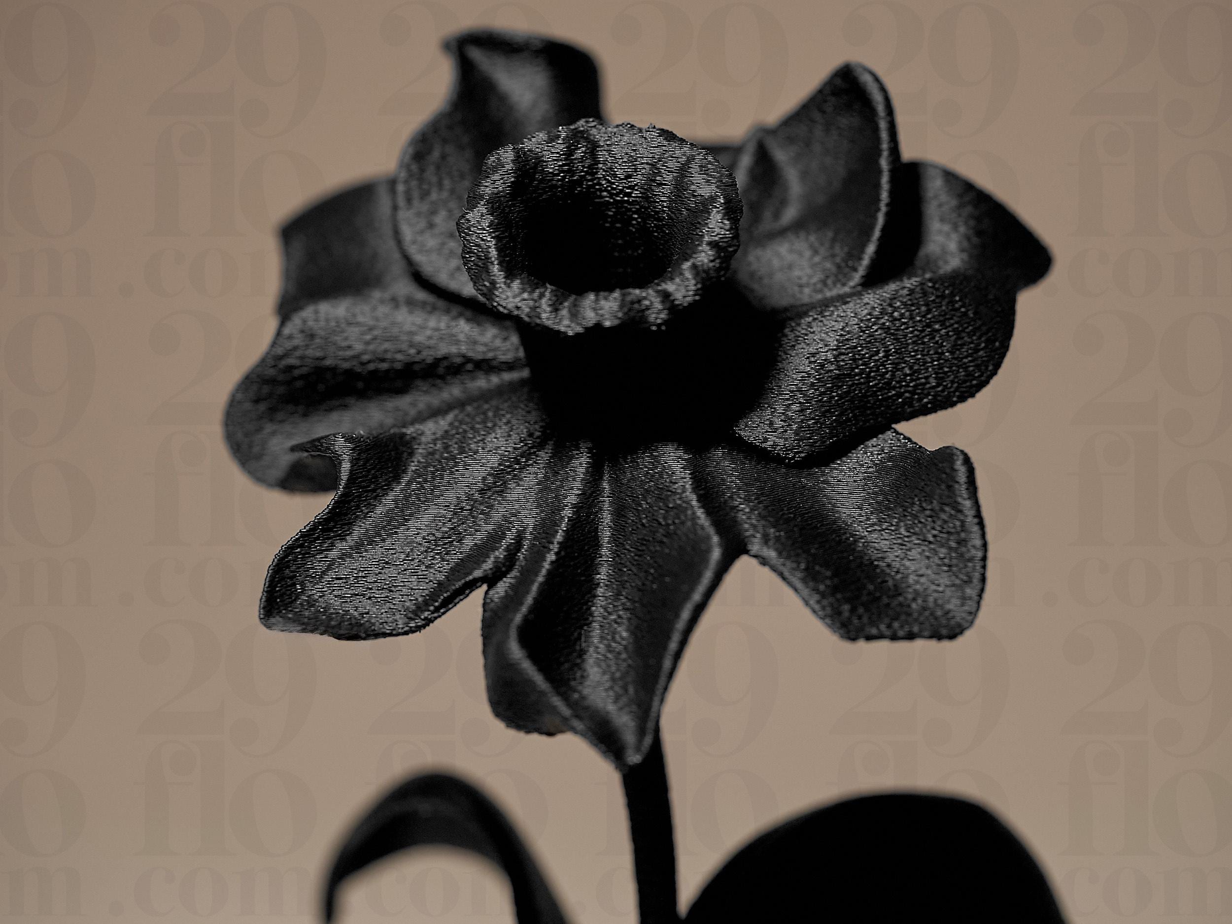 Daffodil Decor | Moderne Narzisse Skulptur | Black Edition Designblume für stilvolle Wohnräume Fehn-factory.de