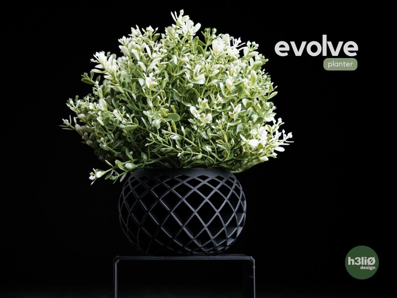 evolve planter | Moderner 3D Druck Blumentopf | Geometrischer Übertopf | Design Deko