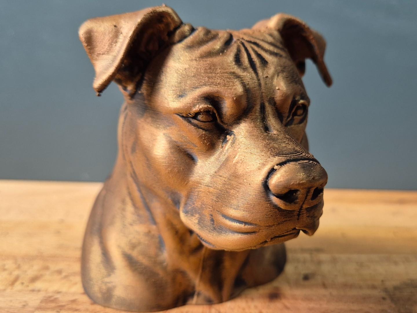 Realistic Pitbull Bust with Natural Ears / Realistische Pitbull Büste Fehn-factory.de