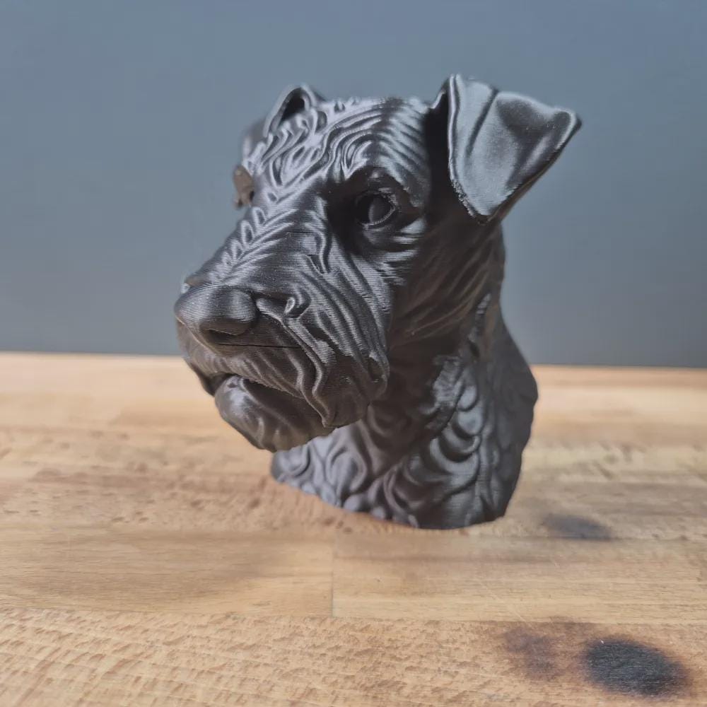 Lakeland Terrier Büste / Realistic Lakeland Terrier Bust - Handbemalt & Detailliert