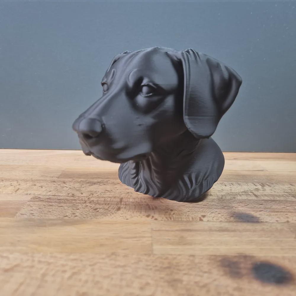 Neuseeländischer Huntaway Büste / Realistic New Zealand Huntaway Bust - Handbemalt