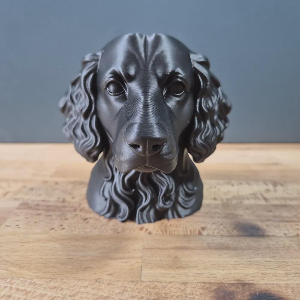 Boykin Spaniel Büste / Realistic Boykin Spaniel Bust - Handbemalt & Detailliert