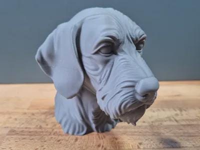 Drahthaar Vizsla Büste / Realistic Wirehaired Vizsla Bust - Handbemalt & Detailliert