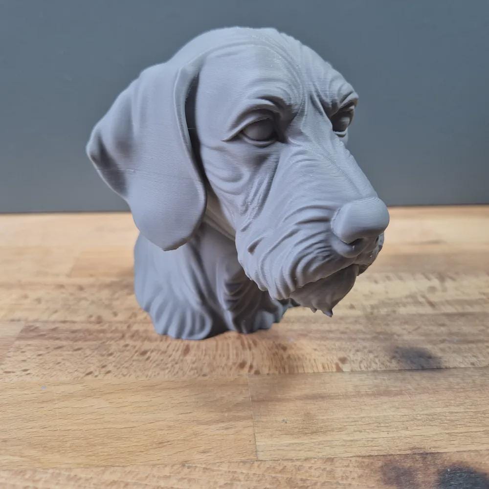 Drahthaar Vizsla Büste / Realistic Wirehaired Vizsla Bust - Handbemalt & Detailliert