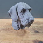 Drahthaar Vizsla Büste / Realistic Wirehaired Vizsla Bust - Handbemalt & Detailliert