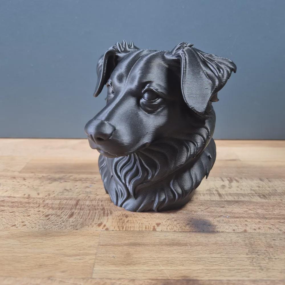 Miniature American Shepherd Büste  Realistic Mini Aussie Bust - Handbemalt & Detailliert