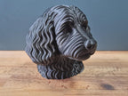 Cockapoo Büste / Realistic Cockapoo Bust - Handbemalt & Detailliert