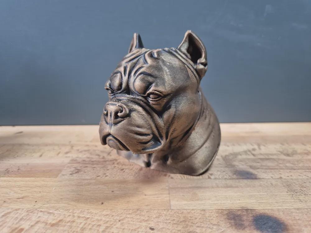 Pocket Bully Büste / Realistic Pocket Bully Bust – Handbemalt & Detailliert
