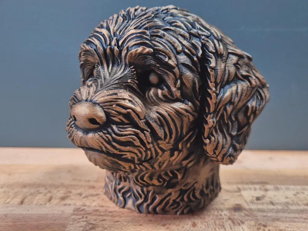 Coton de Tuléar Büste – Hochdetaillierte Realistic Coton de Tulear Dog Bust | Handbemalt & 3D Printed | Extremely Detailed Sculpture