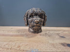 Coton de Tuléar Büste – Hochdetaillierte Realistic Coton de Tulear Dog Bust | Handbemalt & 3D Printed | Extremely Detailed Sculpture