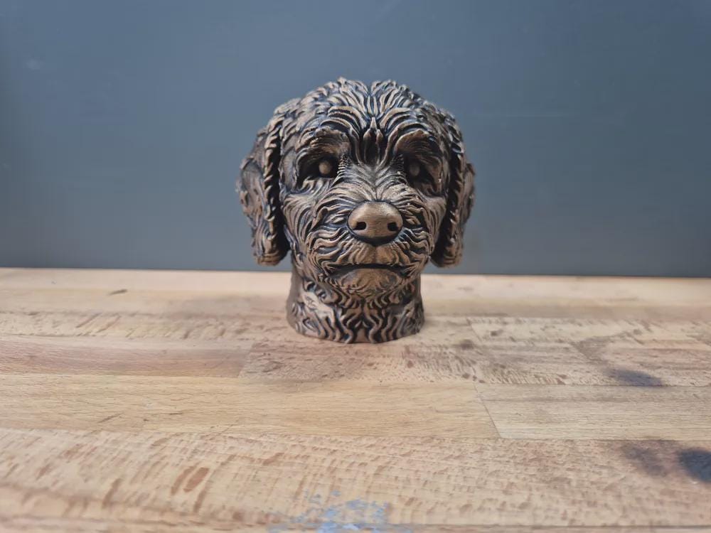 Coton de Tuléar Büste – Hochdetaillierte Realistic Coton de Tulear Dog Bust | Handbemalt & 3D Printed | Extremely Detailed Sculpture