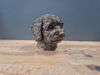 Coton de Tuléar Büste – Hochdetaillierte Realistic Coton de Tulear Dog Bust | Handbemalt & 3D Printed | Extremely Detailed Sculpture