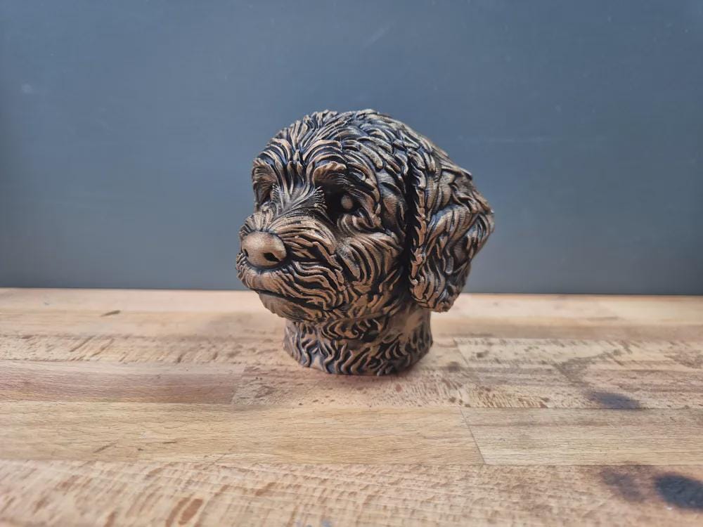 Coton de Tuléar Büste – Hochdetaillierte Realistic Coton de Tulear Dog Bust | Handbemalt & 3D Printed | Extremely Detailed Sculpture