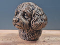 Cavapoo Büste – Realistic Cavapoo Dog Bust | Handbemalt & 3D Printed – Hochdetaillierte Skulptur