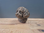 Cavapoo Büste – Realistic Cavapoo Dog Bust | Handbemalt & 3D Printed – Hochdetaillierte Skulptur
