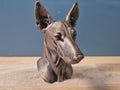 Pharaonenhund Büste – Realistic Pharaoh Hound Dog Bust | Handbemalt & 3D-Printed – Hochdetaillierte Skulptur