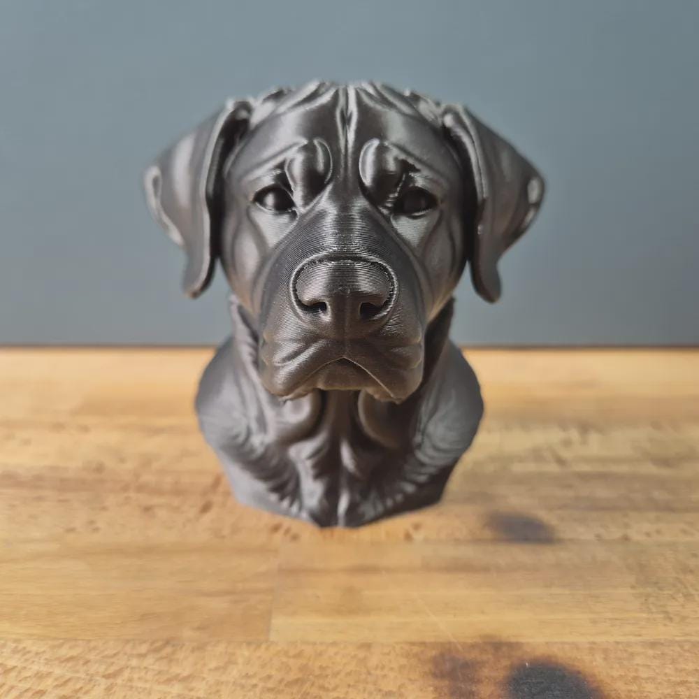 Großer Schweizer Sennenhund Büste – Realistic Greater Swiss Mountain Dog Bust | Handbemalt & 3D-Printed – Hochdetaillierte Skulptur Fehn-factory.de