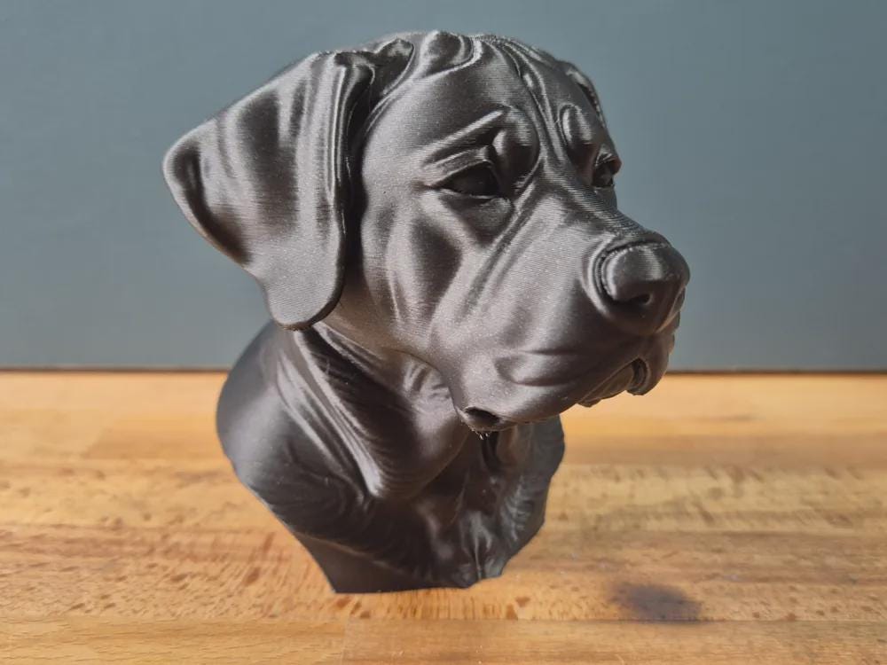 Großer Schweizer Sennenhund Büste – Realistic Greater Swiss Mountain Dog Bust | Handbemalt & 3D-Printed – Hochdetaillierte Skulptur Fehn-factory.de