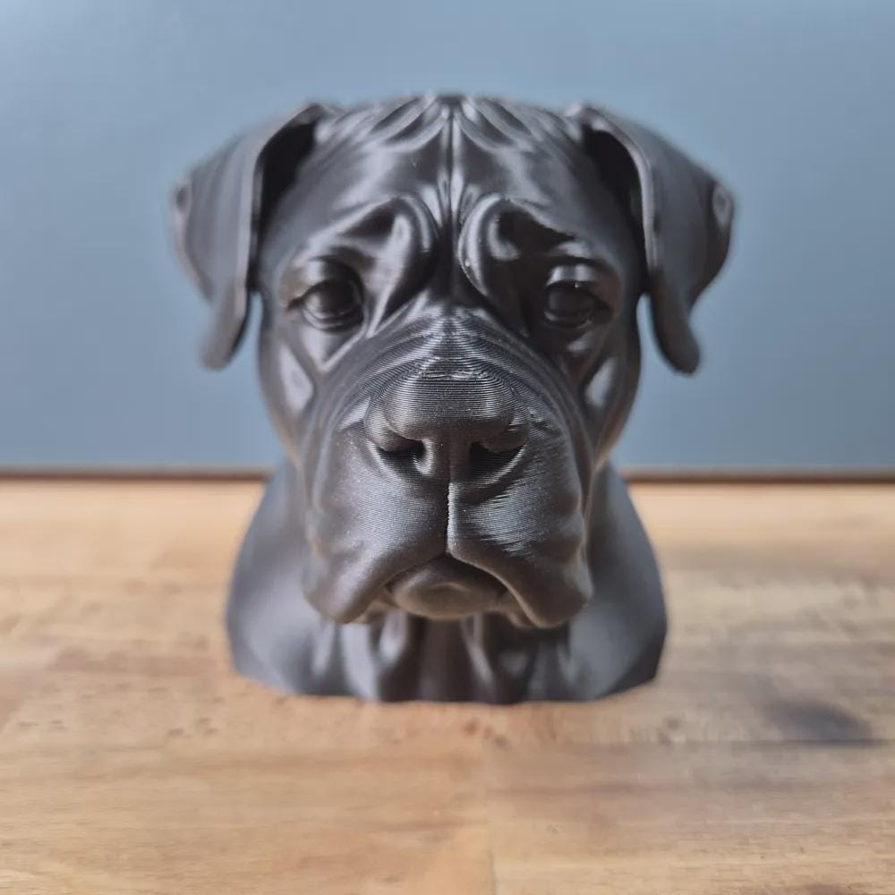 Cane Corso Büste – Realistic Cane Corso Dog Bust | Handbemalt & 3D-Printed – Hochdetaillierte Skulptur Fehn-factory.de