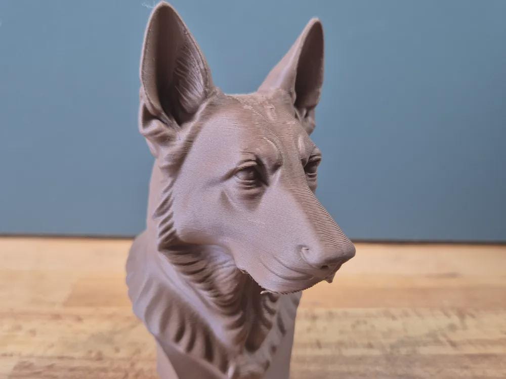 Deutscher Schäferhund Büste – Realistic German Shepherd Dog Bust | Handbemalt & 3D-Printed – Hochdetaillierte Skulptur Fehn-factory.de
