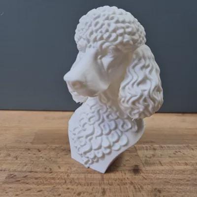 Pudel Büste – Realistic Poodle Dog Bust | Handbemalt & 3D-Printed – Hochdetaillierte Skulptur Fehn-factory.de