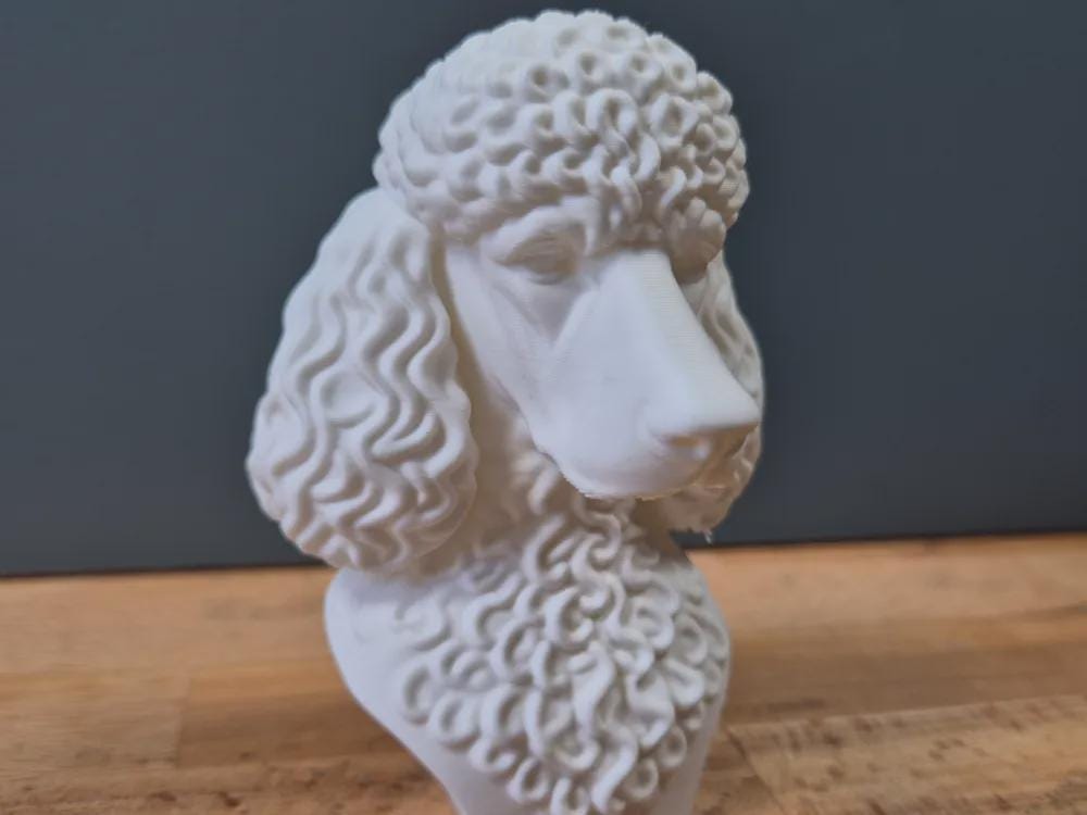 Pudel Büste – Realistic Poodle Dog Bust | Handbemalt & 3D-Printed – Hochdetaillierte Skulptur Fehn-factory.de