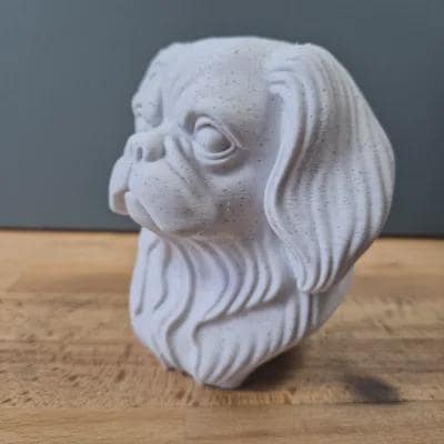 Pekinese Büste – Realistic Pekingese Dog Bust | Handbemalt & 3D-Printed – Hochdetaillierte Skulptur Fehn-factory.de