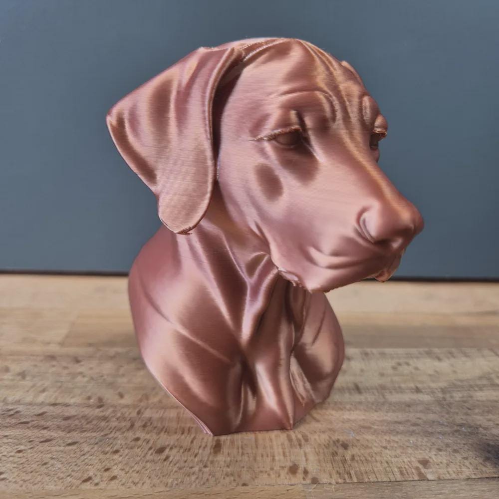 Rhodesian Ridgeback Büste – Realistic Rhodesian Ridgeback Dog Bust | Handbemalt & 3D-Printed – Hochdetaillierte Skulptur Fehn-factory.de