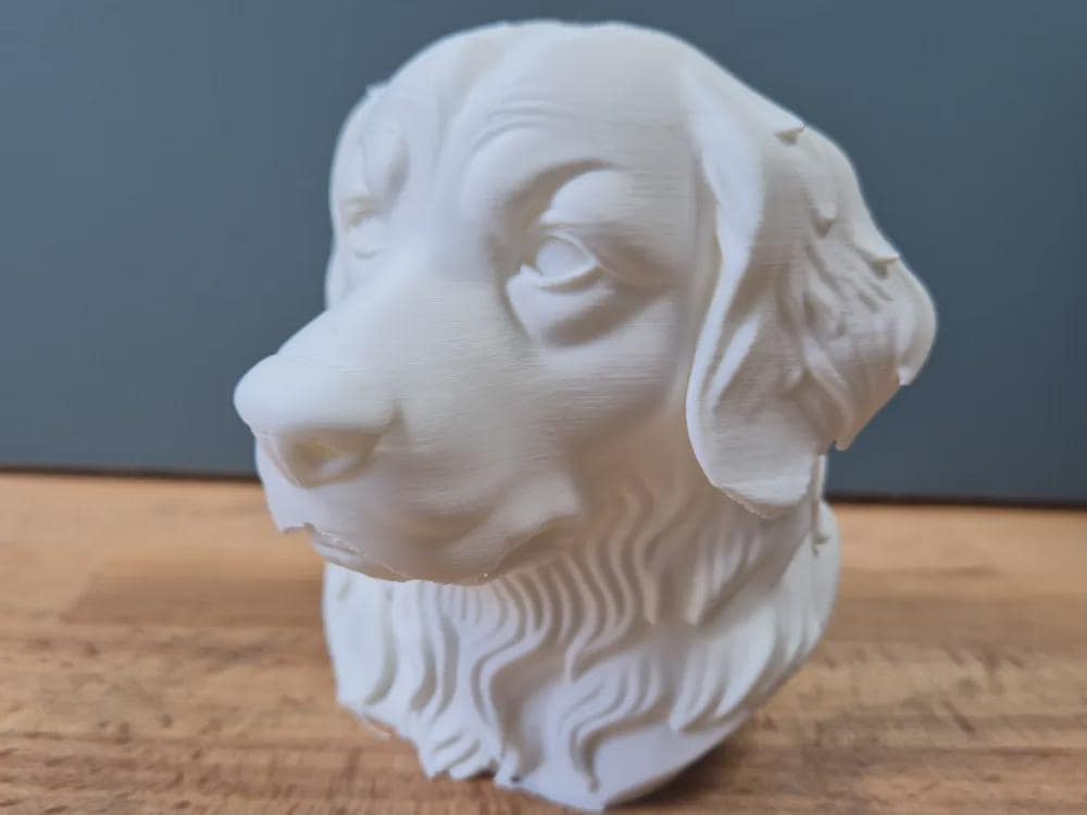 Berner Sennenhund Büste – Realistic Bernese Mountain Dog Bust | Handbemalt & 3D-Printed – Hochdetaillierte Skulptur Fehn-factory.de